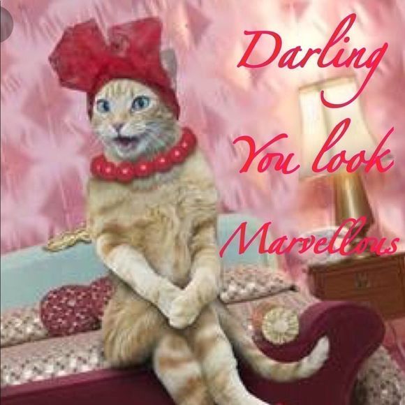 Make a offer.... - Picture 1 of 1